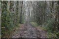 Bridleway, Oldbury Hill