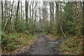 Muddy bridleway, Oldbury Hill