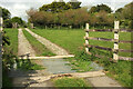 Cattle grid near Shalmar Hollow