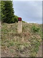 Odd painted marker on the way to Monk Bretton Trig Point