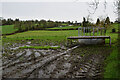 Muddy ground, Deer Park (Clarke)