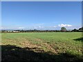 Fields near Kirthen Farm