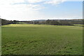 Pasture, Holton Farm