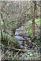 Tributary stream of the River Rother