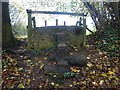 Stone Stile, Field Lane