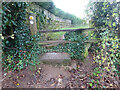 Stone Stile, Field Lane