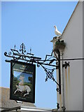 SY6779 : Gull at the White Hart by Neil Owen