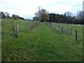 Bridle Path off Back Racecourse Lane