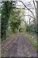 Track descending from Langley Hill