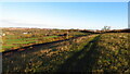 Field path running south from Clowne to Oxcroft