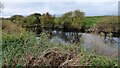 SE4266 : River Ure at Low Close Farm by Sandy Gerrard