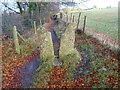 Stone Stile, Besbury Common