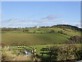 View across Puddleston Dingle