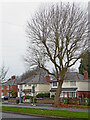 Houses in Three Tuns Lane, Wolverhampton