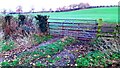 Field gateway on east side of rural road northeast of Sprunston Farm