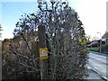 Finger post at the junction of High Fawr Avenue and the Bridle path