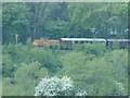 Train on the Severn Valley railway