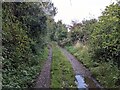 The bridleway near Gwinear