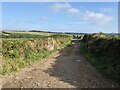 Farm lane near Paul