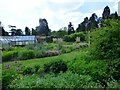 Glasshouse at Arley Arboretum