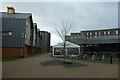 Tent in Langwith College