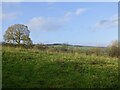 Field above Orleton