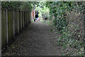 Path behind the houses