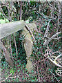 Stone Stile, Draycott