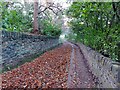 Bowling Alley, Rastrick downhill