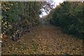 Byway and footpath skirting the top of Luton