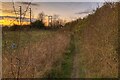 Footpath to Sundon Road