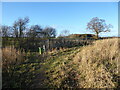 Footpath past a Pheasant rearing pen