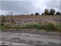 TL2616 : Field by White Horse Lane, Burnham Green by David Howard