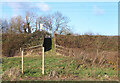 Path up the Embankment