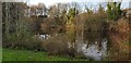 SP1478 : Pond off Chelveston Crescent by Paul Collins