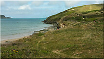 SW9276 : Coast of Camel estuary by Derek Harper