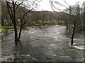 River Leven in spate