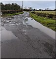 ST3684 : Waterlogged dead-end road, Goldcliff by Jaggery