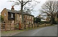 Little Berkhamsted Lane