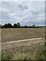 View towards Constitution Hill Farm