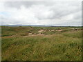 SS7980 : Dunes, Kenfig Nature Reserve by Eirian Evans