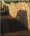 Car shadows, Cleveland Road, Torquay