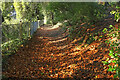 SX9064 : Path, Chapel Hill Pleasure Grounds by Derek Harper