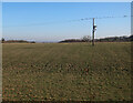 Field by Church Lane, Madingley