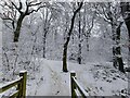 Entrance to Upper Fell Greave Woods from Woodside Lane - in snow