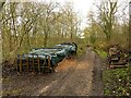 Coppiced and other cut timber, Bunny Old Wood