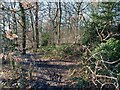 Entrance to Upper Fell Greave Woods off Bradford Road