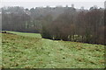 Footpath to Ticehurst