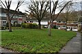 Houses around green in West Woodside