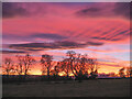 Sheep and fields below reddened sky